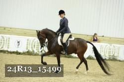 24R13_15499 thumbnail