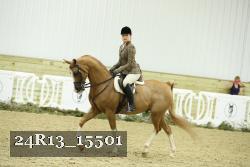 24R13_15501 thumbnail
