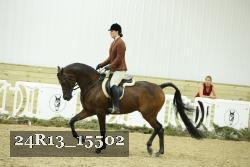 24R13_15502 thumbnail