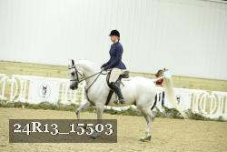 24R13_15503 thumbnail