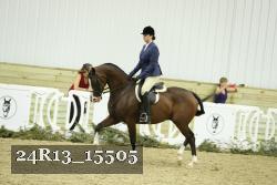 24R13_15505 thumbnail