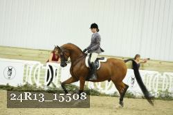 24R13_15508 thumbnail