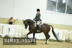 24R13_15512 thumbnail