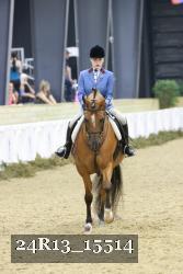 24R13_15514 thumbnail