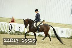 24R13_15515 thumbnail