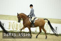 24R13_15519 thumbnail