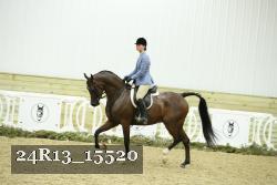 24R13_15520 thumbnail