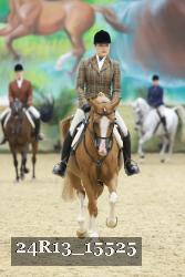 24R13_15525 thumbnail
