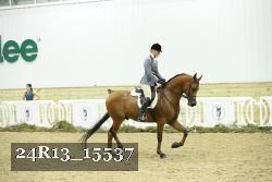 24R13_15537 thumbnail