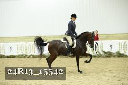24R13_15542 thumbnail