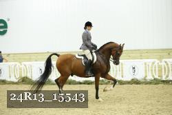 24R13_15543 thumbnail