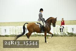 24R13_15544 thumbnail