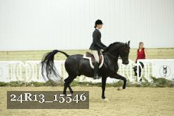 24R13_15546 thumbnail