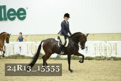 24R13_15555 thumbnail
