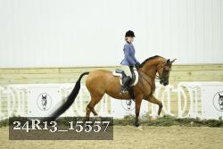 24R13_15557 thumbnail