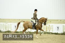 24R13_15559 thumbnail