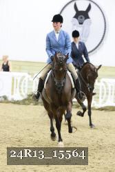 24R13_15564 thumbnail
