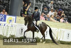 24R13_15580 thumbnail