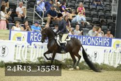 24R13_15581 thumbnail