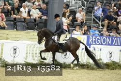 24R13_15582 thumbnail