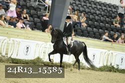 24R13_15585 thumbnail