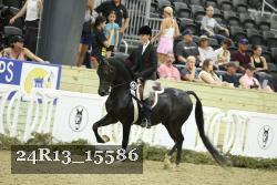 24R13_15586 thumbnail