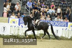 24R13_15587 thumbnail