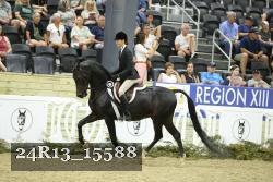 24R13_15588 thumbnail