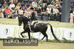 24R13_15589 thumbnail