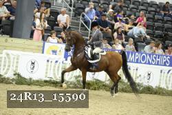 24R13_15590 thumbnail