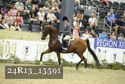 24R13_15591 thumbnail