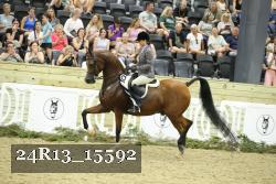24R13_15592 thumbnail