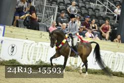 24R13_15593 thumbnail