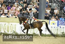 24R13_15597 thumbnail