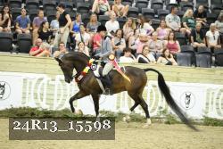 24R13_15598 thumbnail
