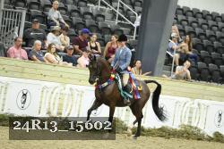 24R13_15602 thumbnail