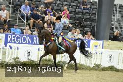 24R13_15605 thumbnail