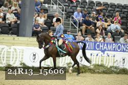 24R13_15606 thumbnail