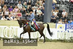 24R13_15607 thumbnail