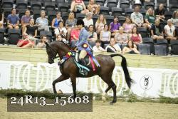 24R13_15608 thumbnail