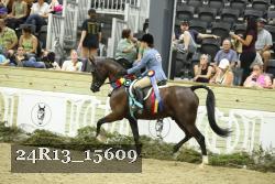 24R13_15609 thumbnail