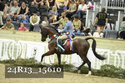 24R13_15610 thumbnail
