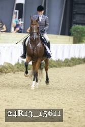 24R13_15611 thumbnail