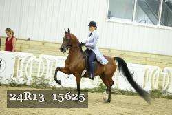 24R13_15625 thumbnail