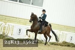 24R13_15627 thumbnail