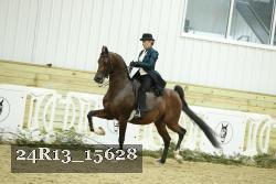 24R13_15628 thumbnail