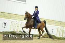 24R13_15629 thumbnail