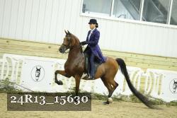 24R13_15630 thumbnail