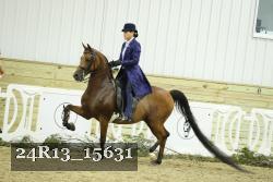 24R13_15631 thumbnail