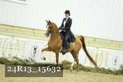 24R13_15632 thumbnail